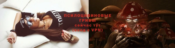 ALPHA-PVP Алексеевка