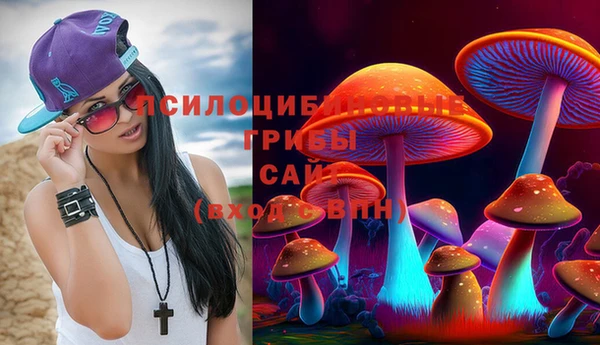 соль курить ск Алзамай