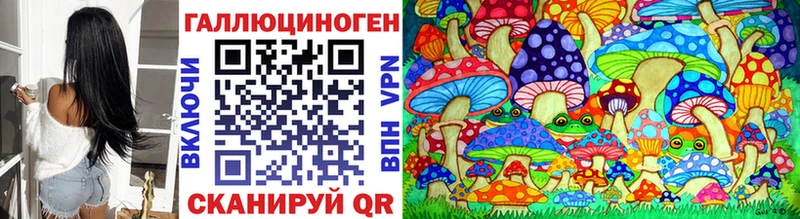 Галлюциногенные грибы Psilocybe  Ардатов 